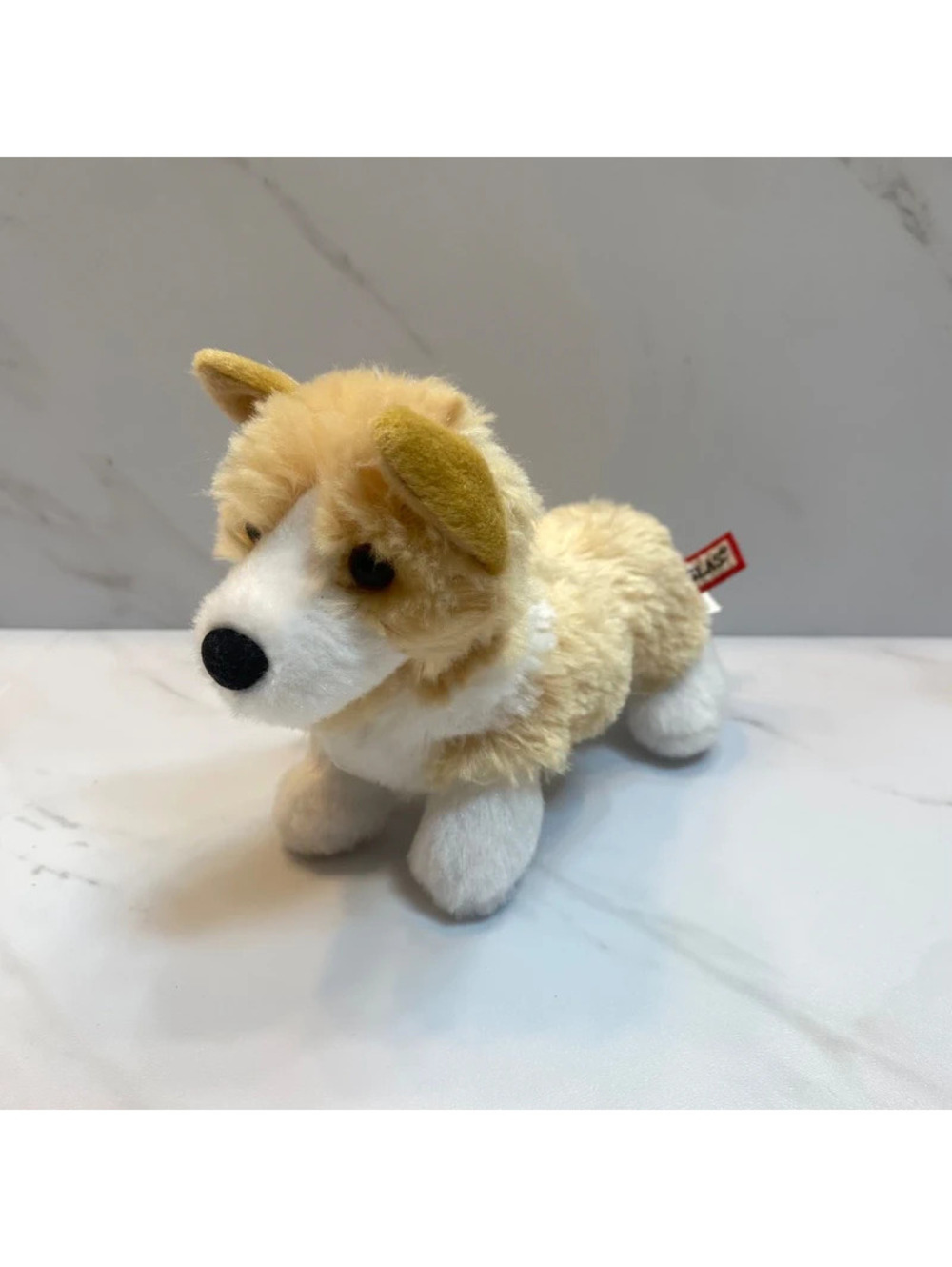 Douglas Corgi (BIN 4)